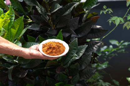 Mutton Masala Podi
